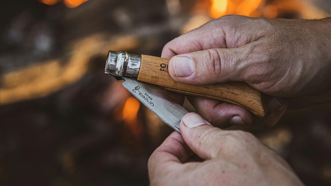 Delfina Cocciardi/Pexels