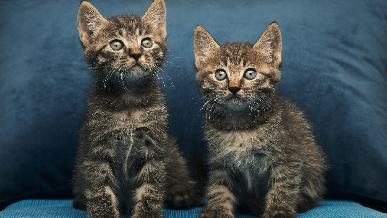 dodowang1994/Unsplash