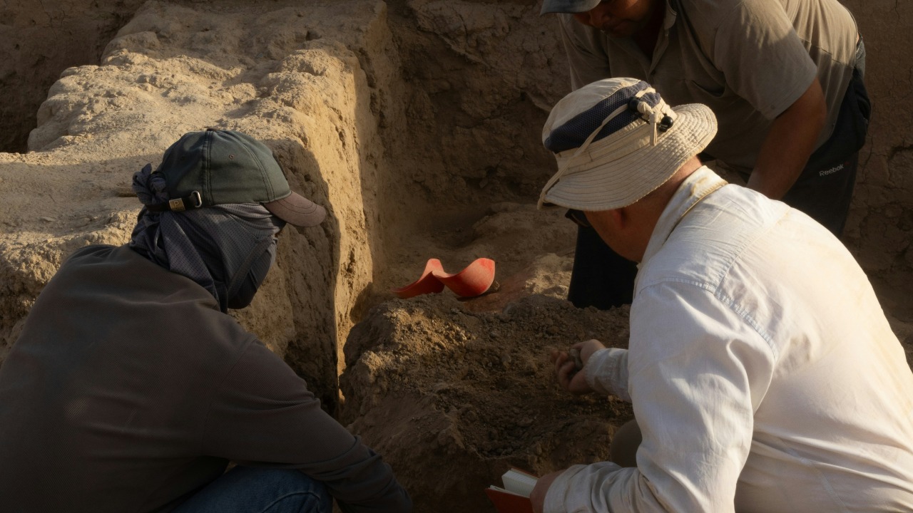 aleksander_stypczynski/Unsplash