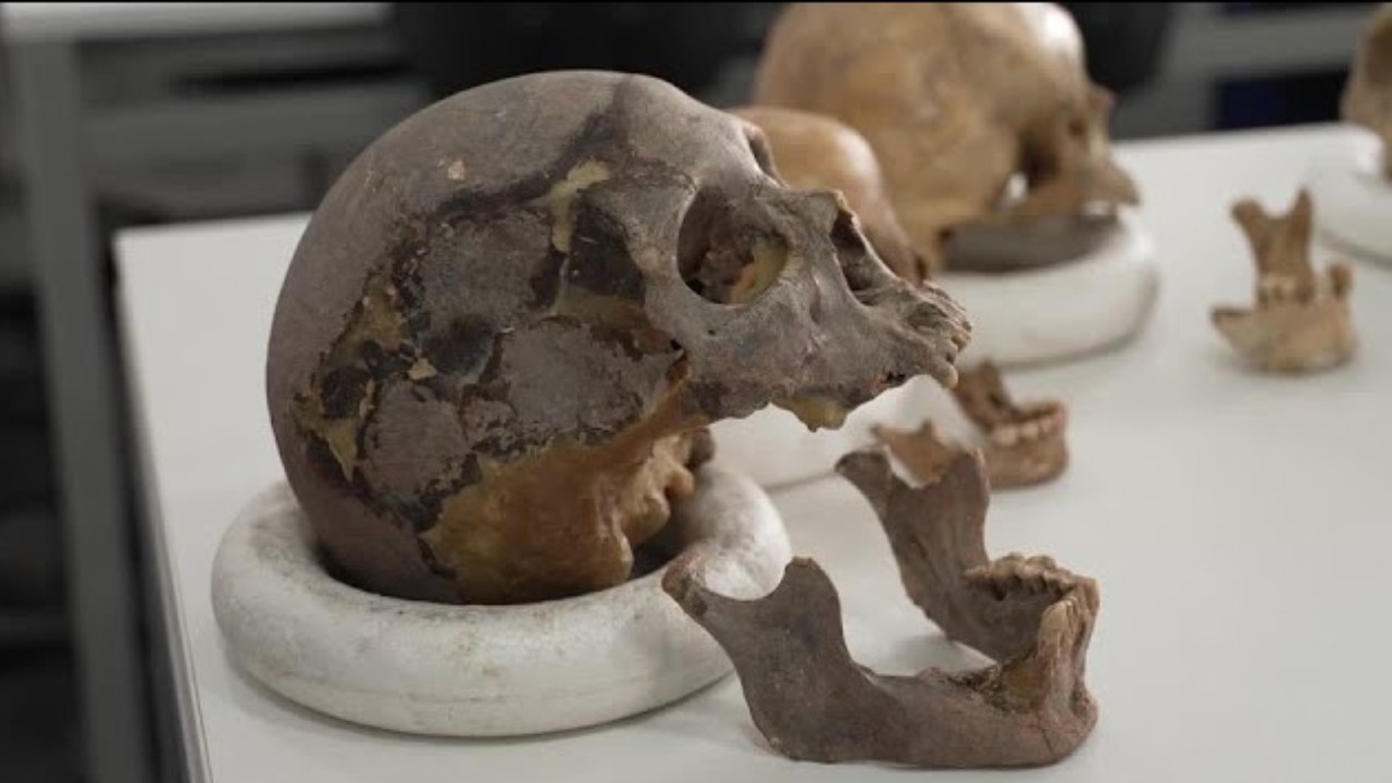 Image credit: youtube.com/@Reuters