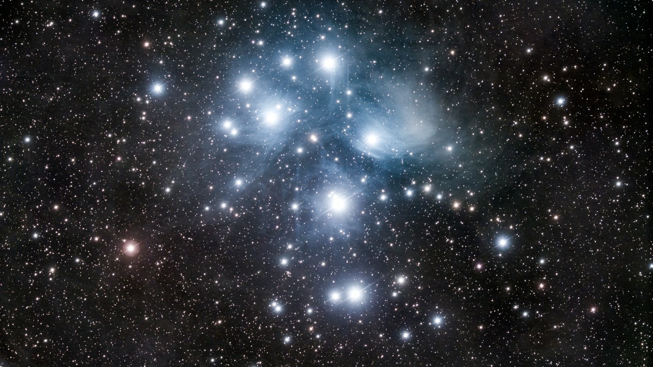 Image Credit: Stephen Rahn from Macon, GA, USA - CC0/Wiki Commons