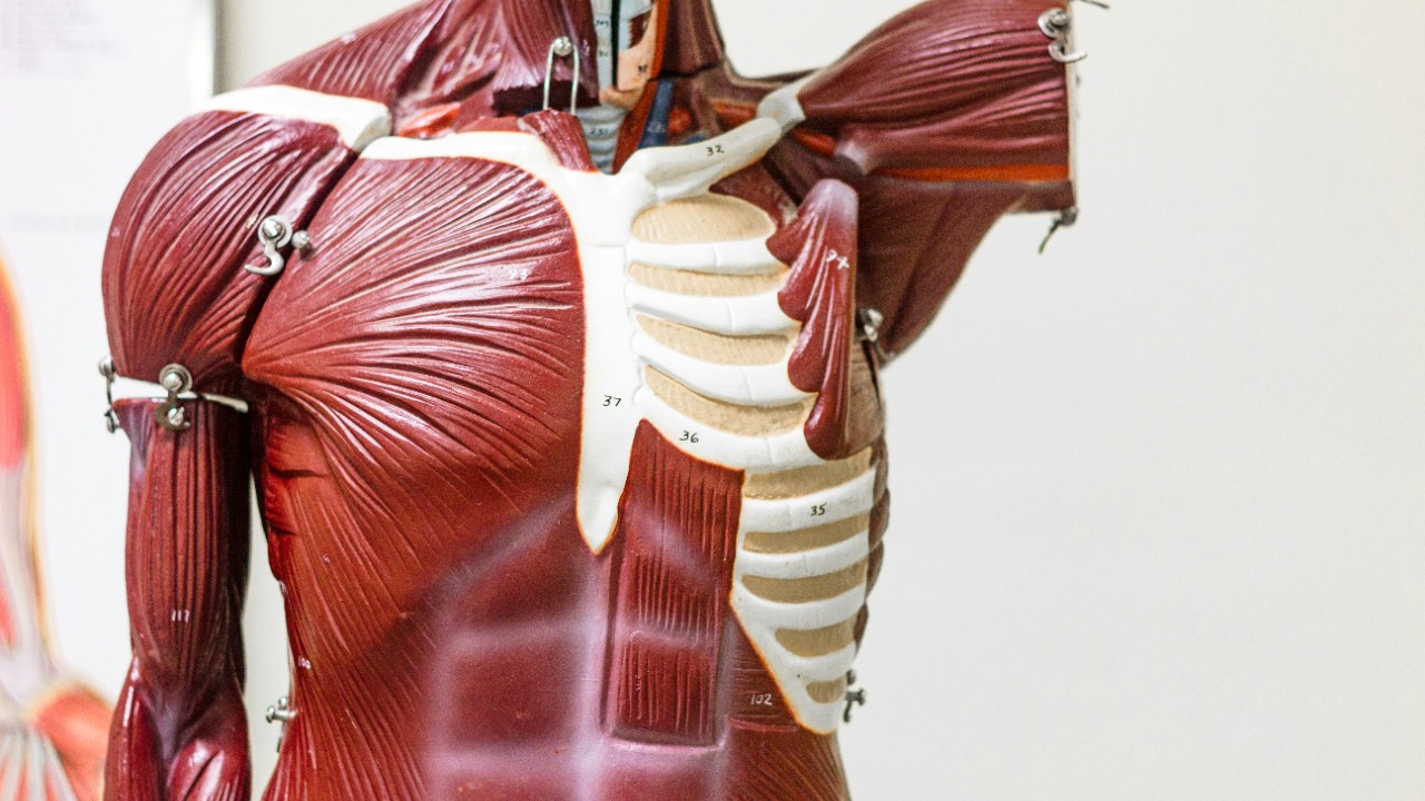 alancalvert/Unsplash