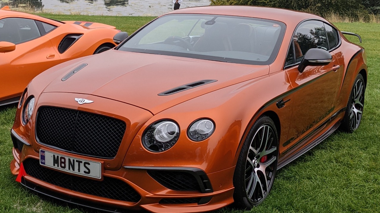 Image Credit: Calreyn88 - CC BY-SA 4.0/Wiki Commons