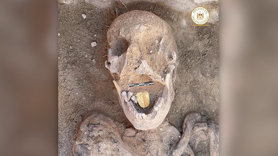 Image Credit: youtube.com/@9news