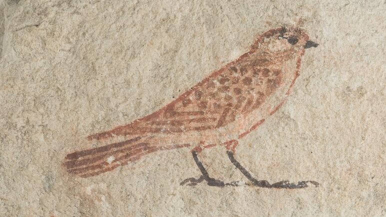 Image Credit: unknown - CC0/Wiki Commons