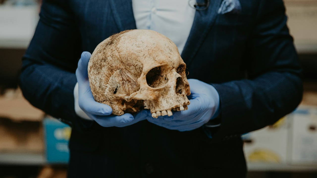 trnavskauni/Unsplash