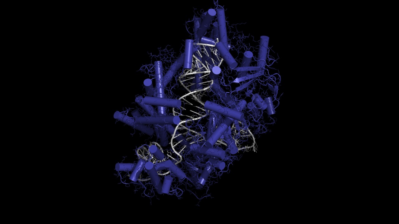 Image Credit: Elena I Leonova - CC BY 4.0/Wiki Commons