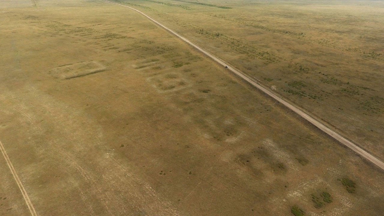 Image Credit: Peter J. Brown - CC BY-SA 4.0/Wiki Commons