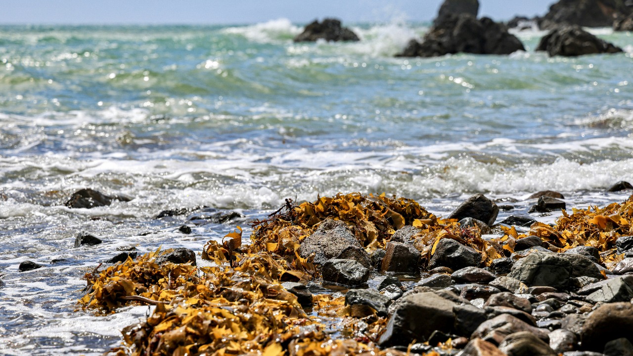 maximus1989zh/Unsplash