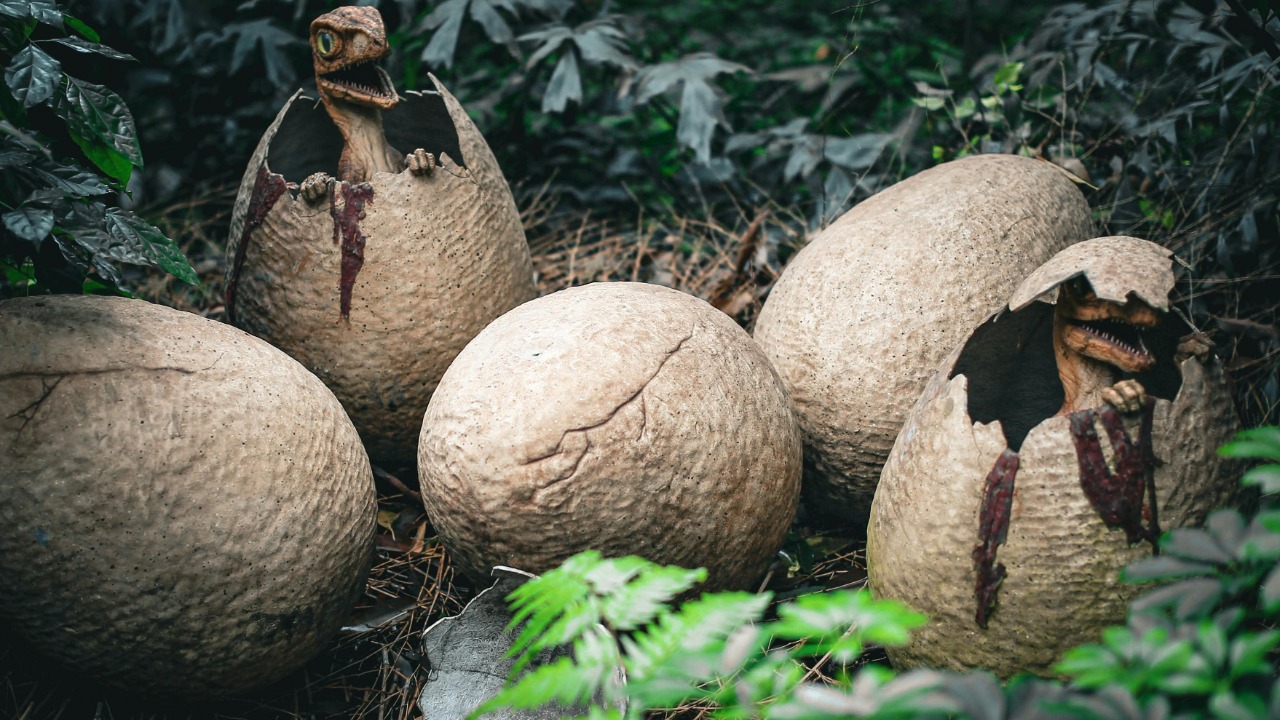 Mehmet Turgut Kirkgoz/Pexels