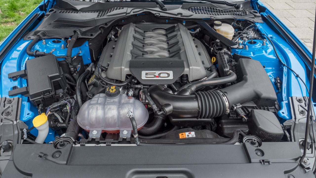 Image Credit: Ermell - CC BY-SA 4.0/Wiki Commons