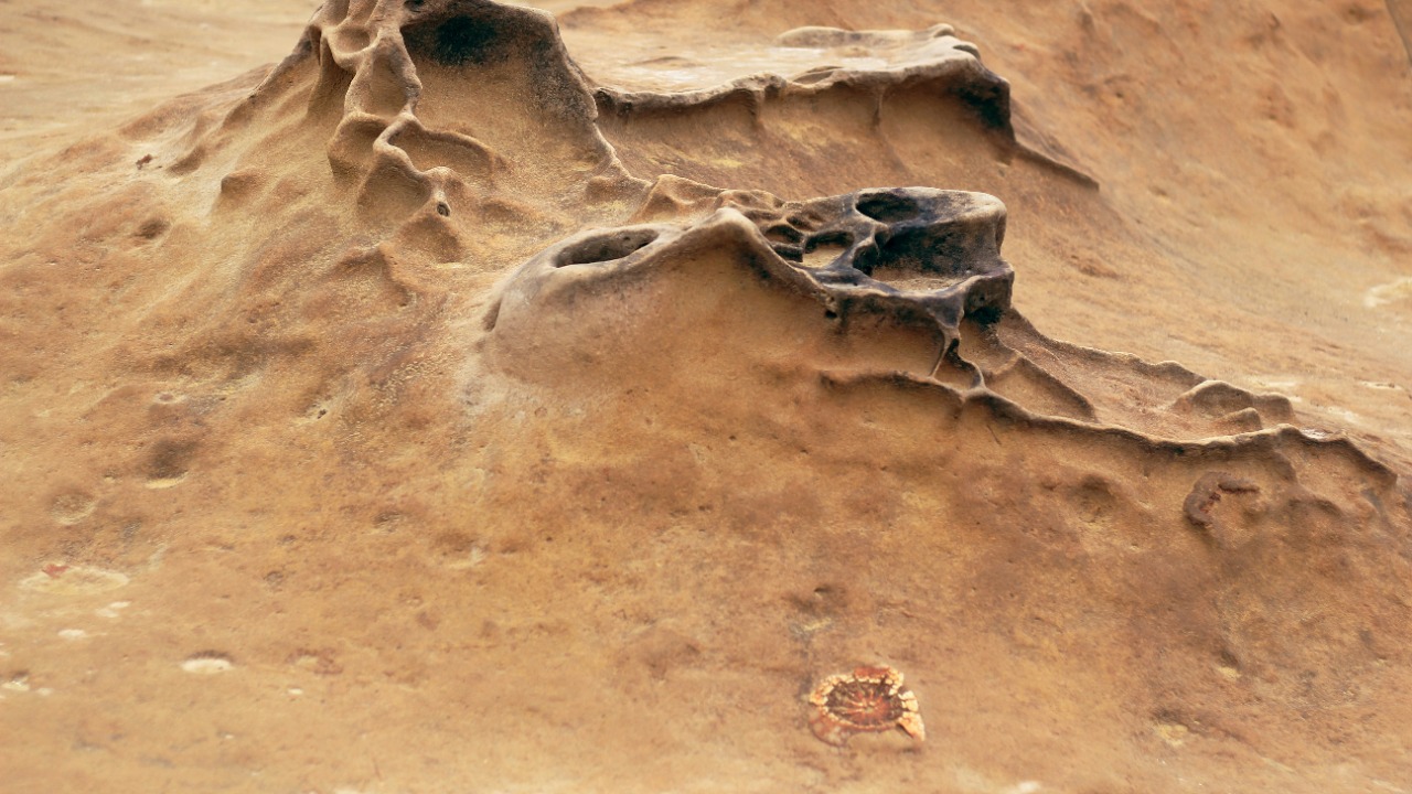 bongbenhbay/Unsplash