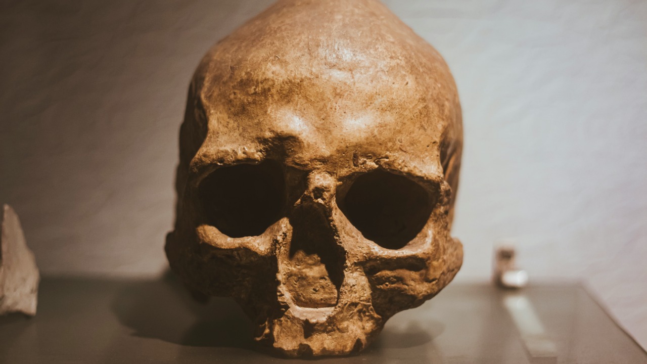 Meet Skhūl, a child who may be the first human Neanderthal mix