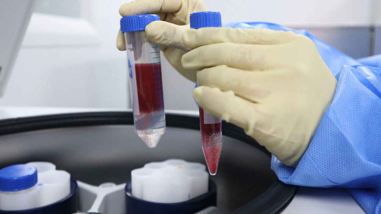 malcolm_choong/Unsplash