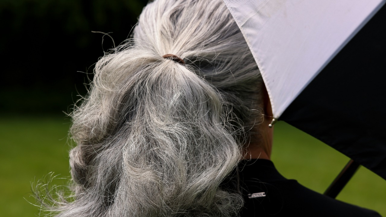 Study hints gray hair evolved as a cancer defense