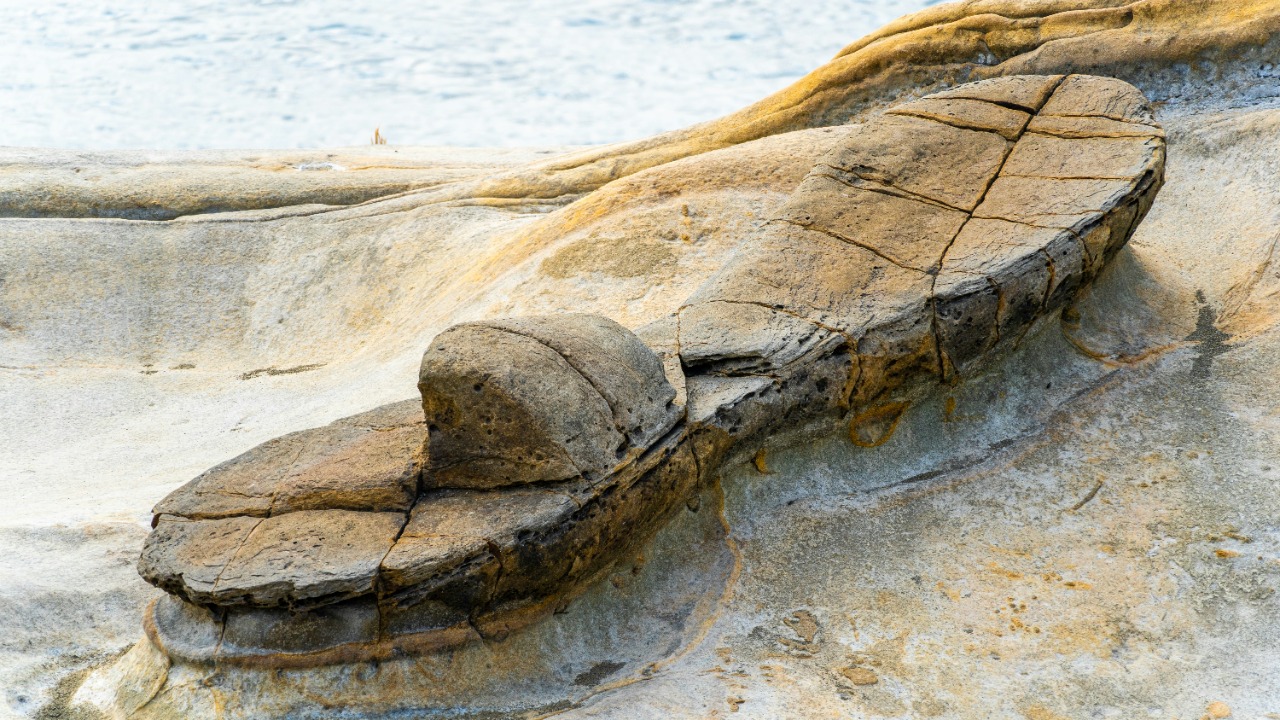 2,000-year-old pleasure barge resurfaces in Cleopatra’s harbor