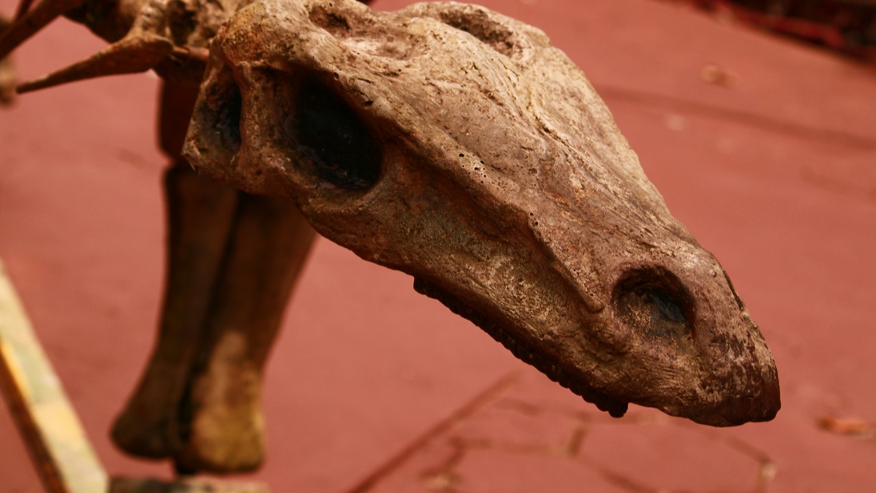 A 4,000-year-old find may crack what fueled a Bronze Age plague