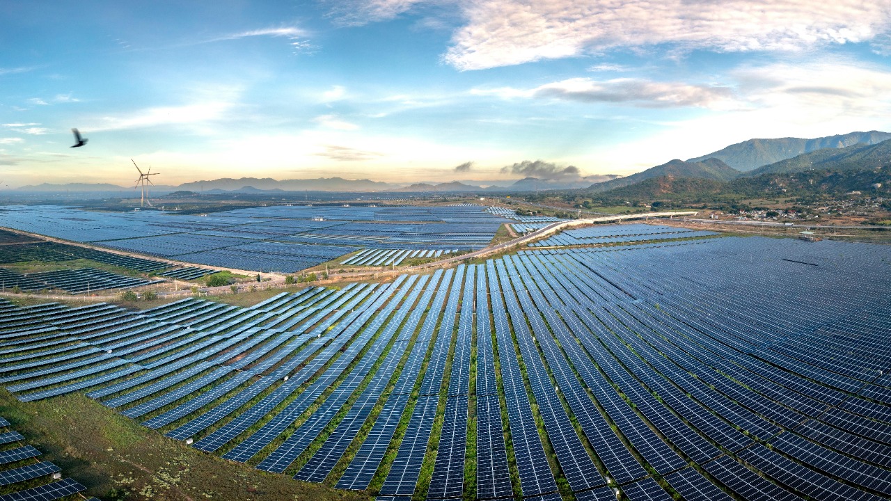 Quang Nguyen Vinh/Pexels