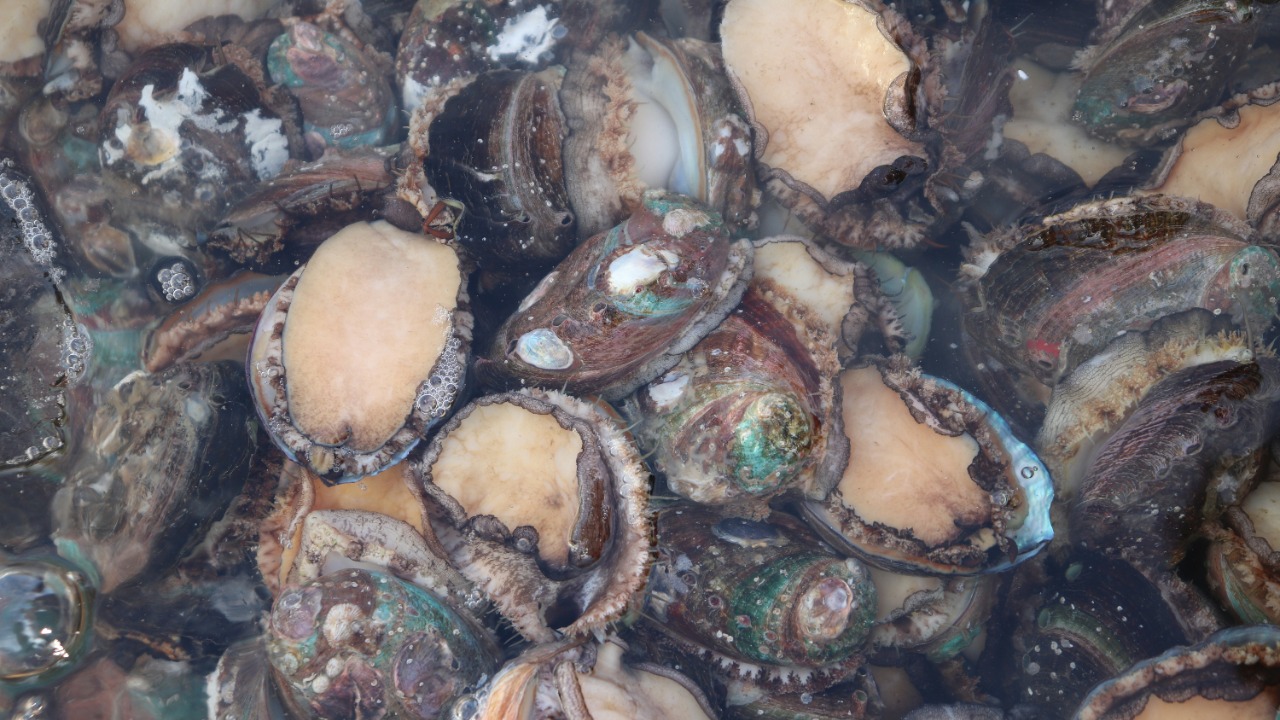 elee_334105/Unsplash