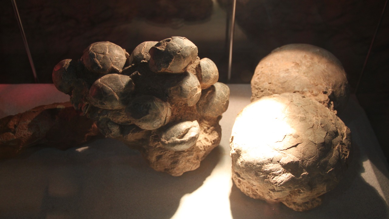 Image Credit: Gary Todd - CC0/Wiki Commons