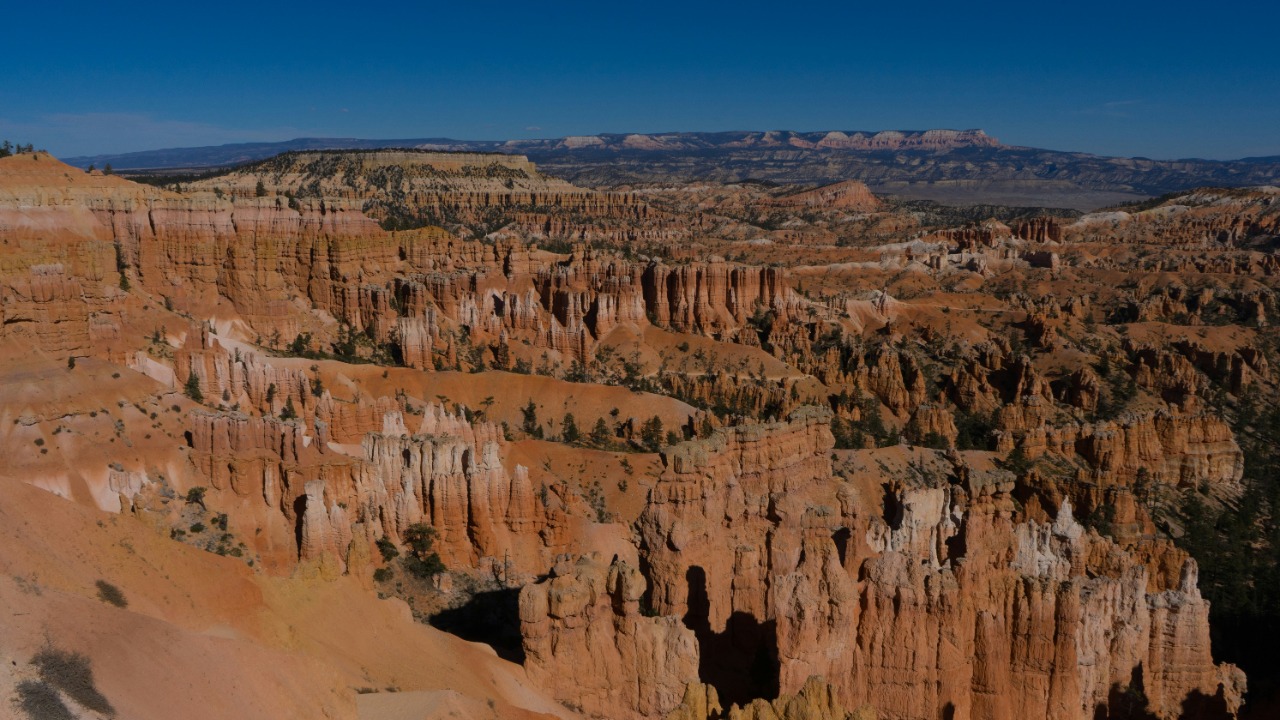 rockwell_branding_agency/Unsplash