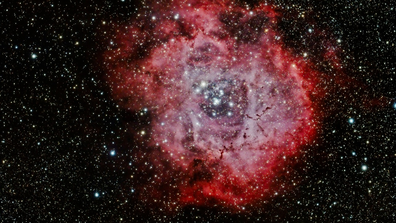 Luis Felipe Alburquerque Briganti/Pexels