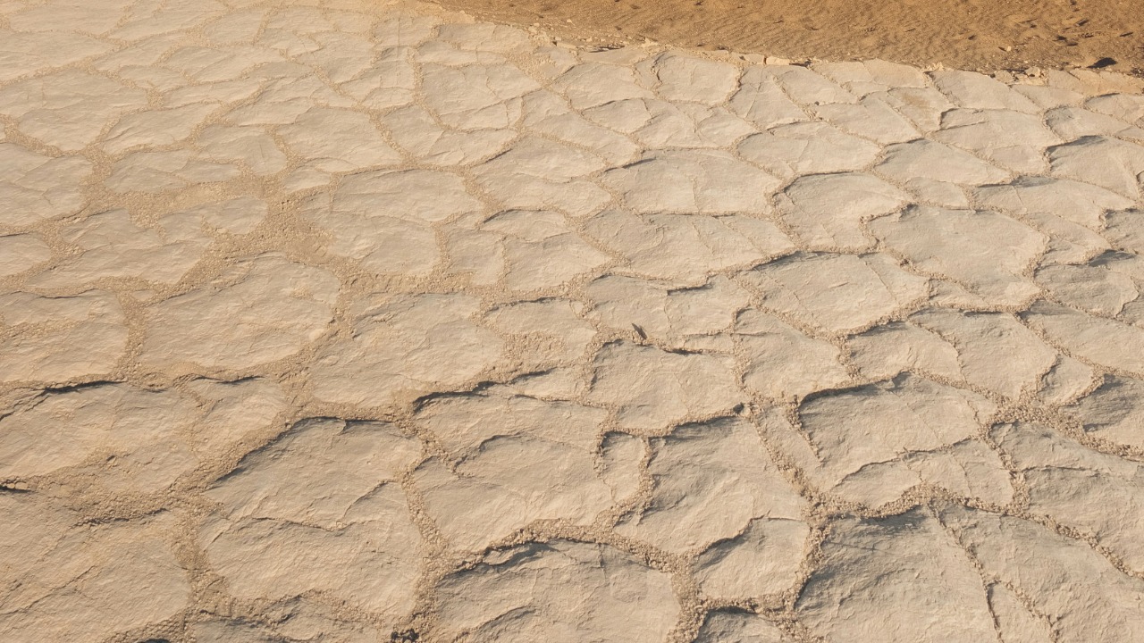 shot_by_teo/Unsplash