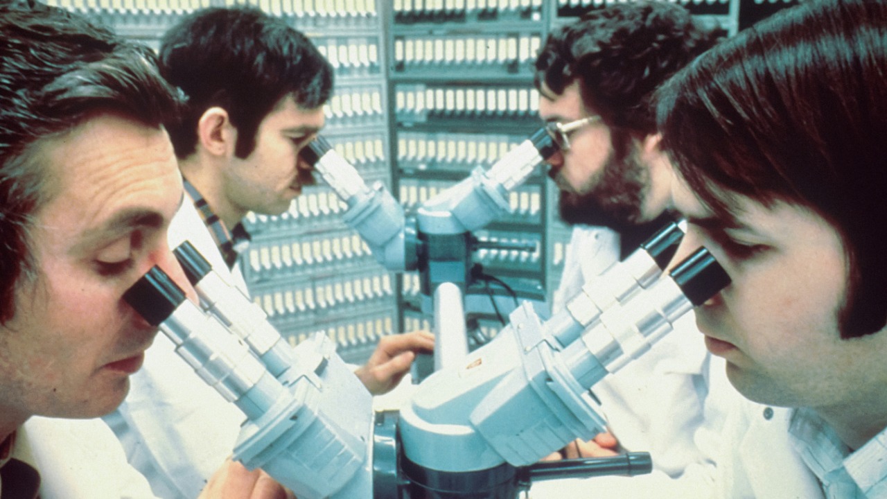 A newly found organism lives on the edge of what counts as life