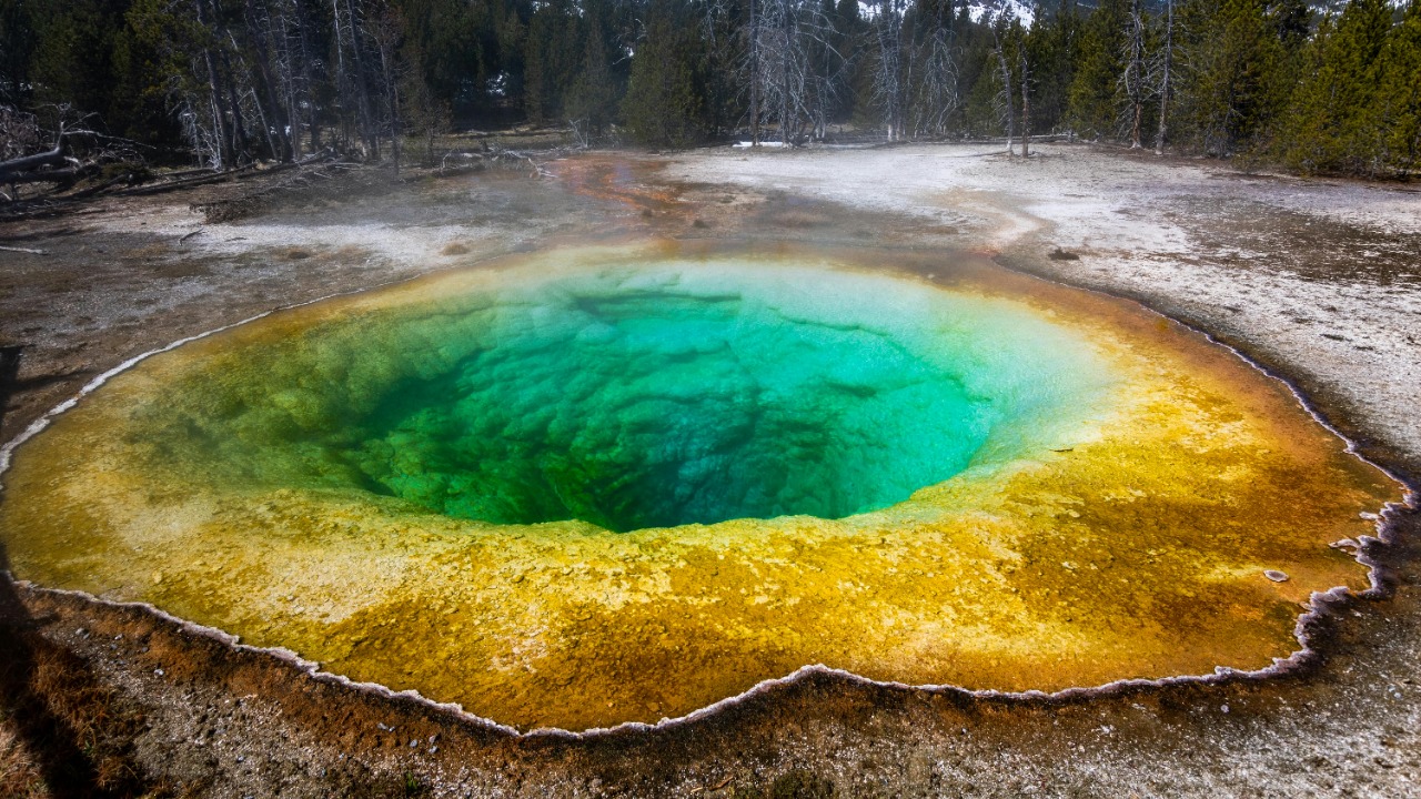 Lukas Kloeppel/Pexels