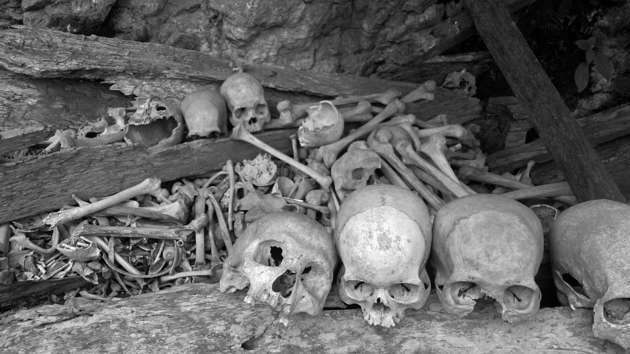 A pit filled with skulls hints at a shocking sacrifice ritual