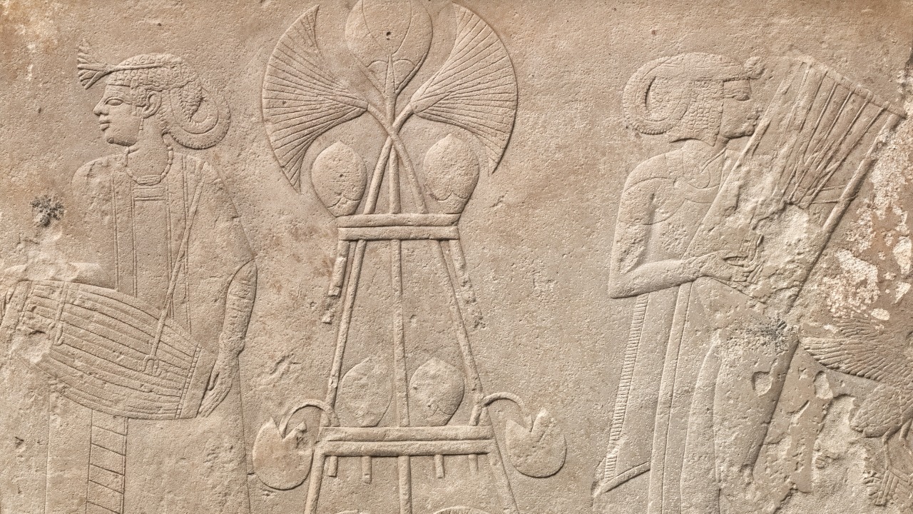 clevelandart/Unsplash