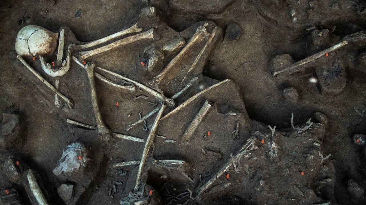 oliverjoshua/Unsplash