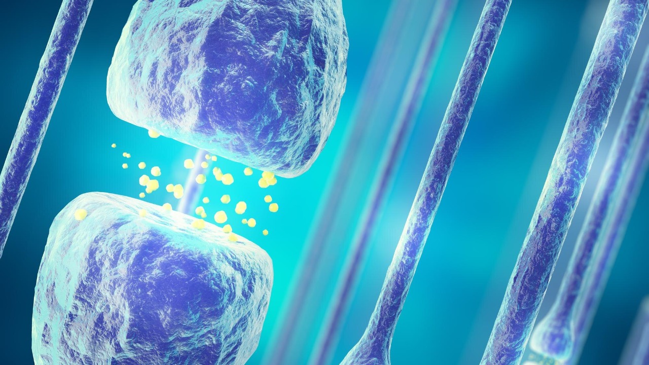 A stem cell “sponge” could absorb joint pain and shield cartilage