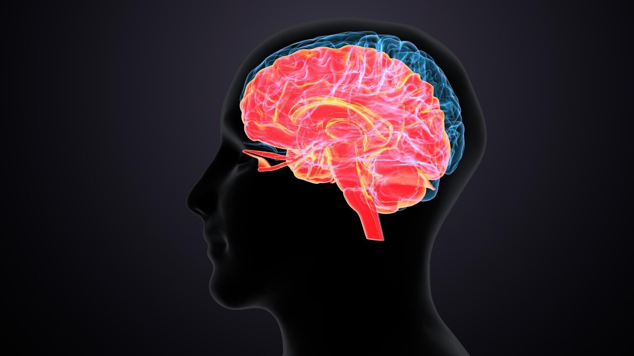 These habits may make your brain look 8 years younger