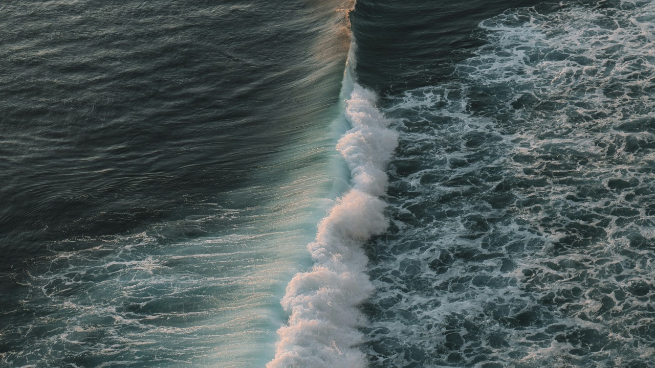 Where rivers meet oceans, scientists find a new power source