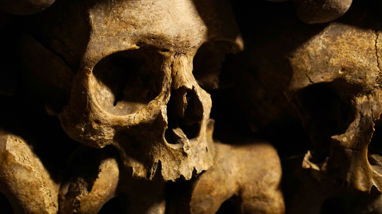 DNA from a 4,500-year-old skeleton reveals a hidden ancient fusion
