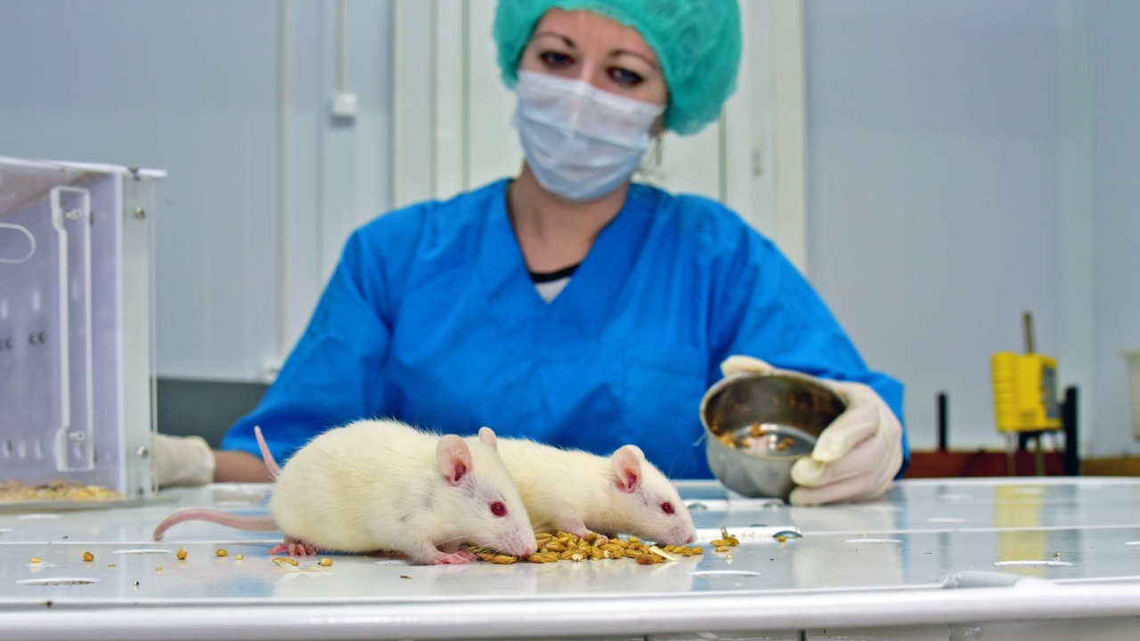 Nanotech breakthrough reverses Alzheimer’s in mice, researchers say