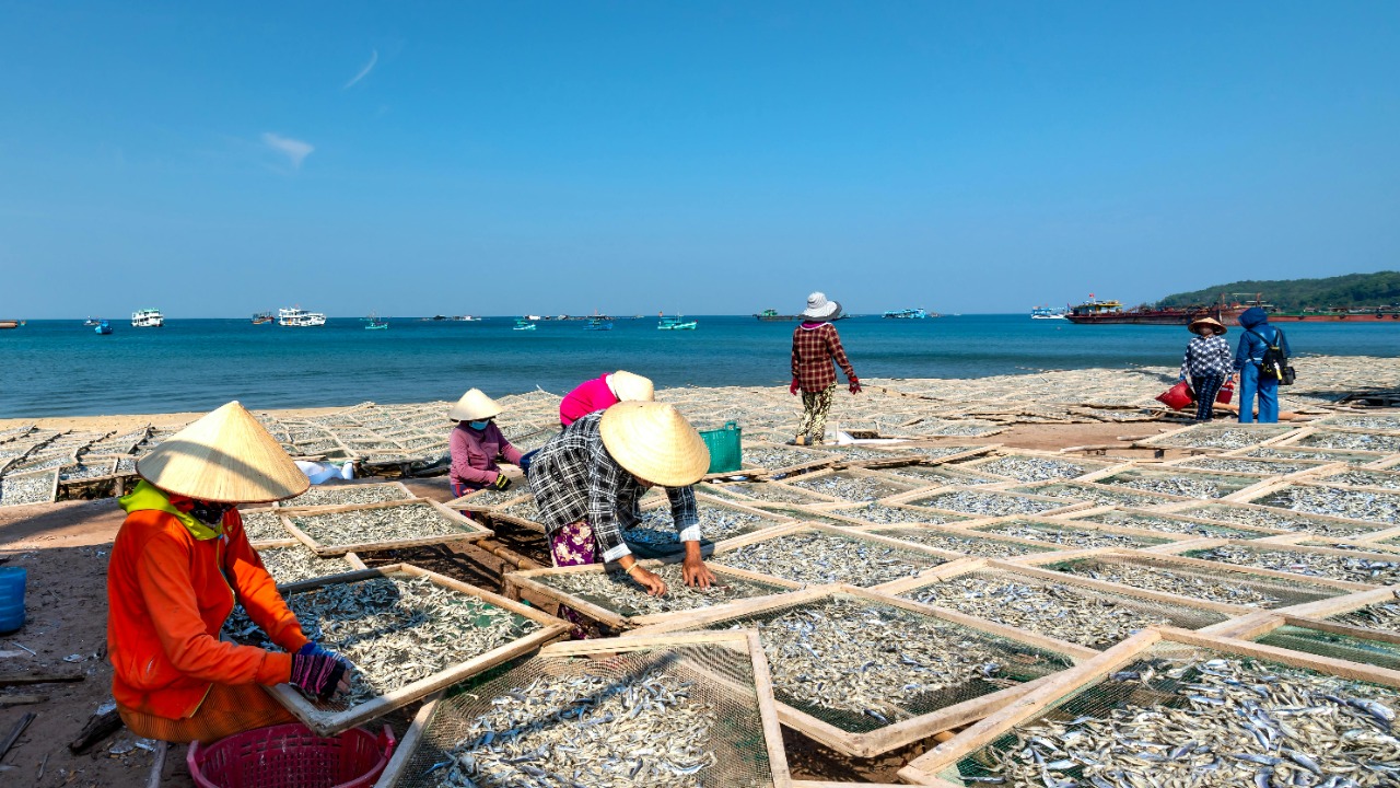 Farmer’s DIY fix shocks locals as it saves a coastal community