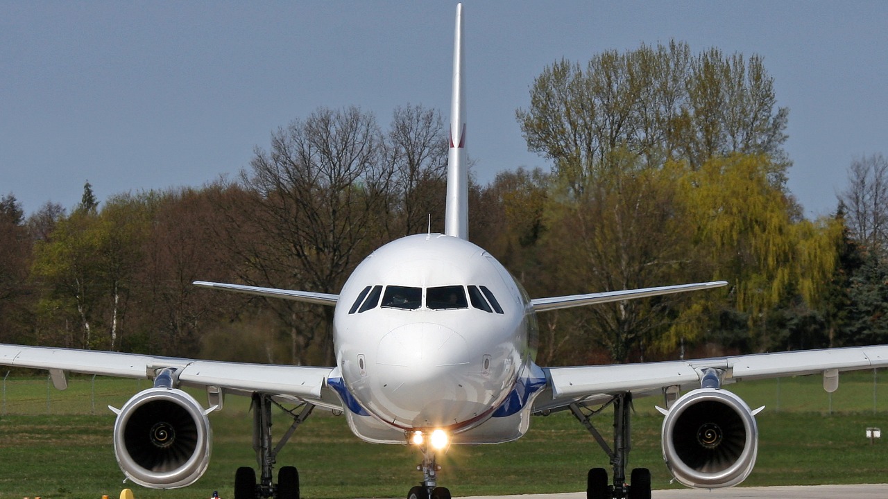 Image Credit: Björn Strey - CC BY-SA 2.0/Wiki Commons