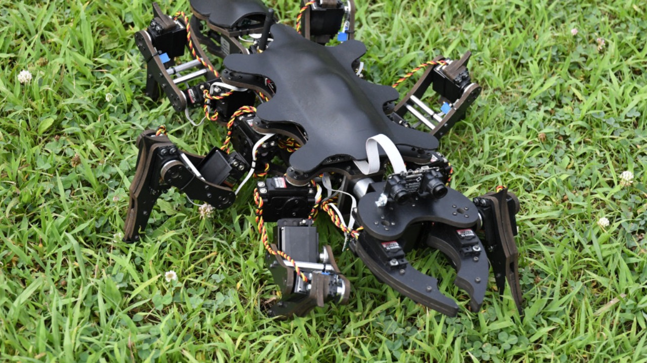 Image Credit: Lminati - CC BY-SA 4.0/Wiki Commons