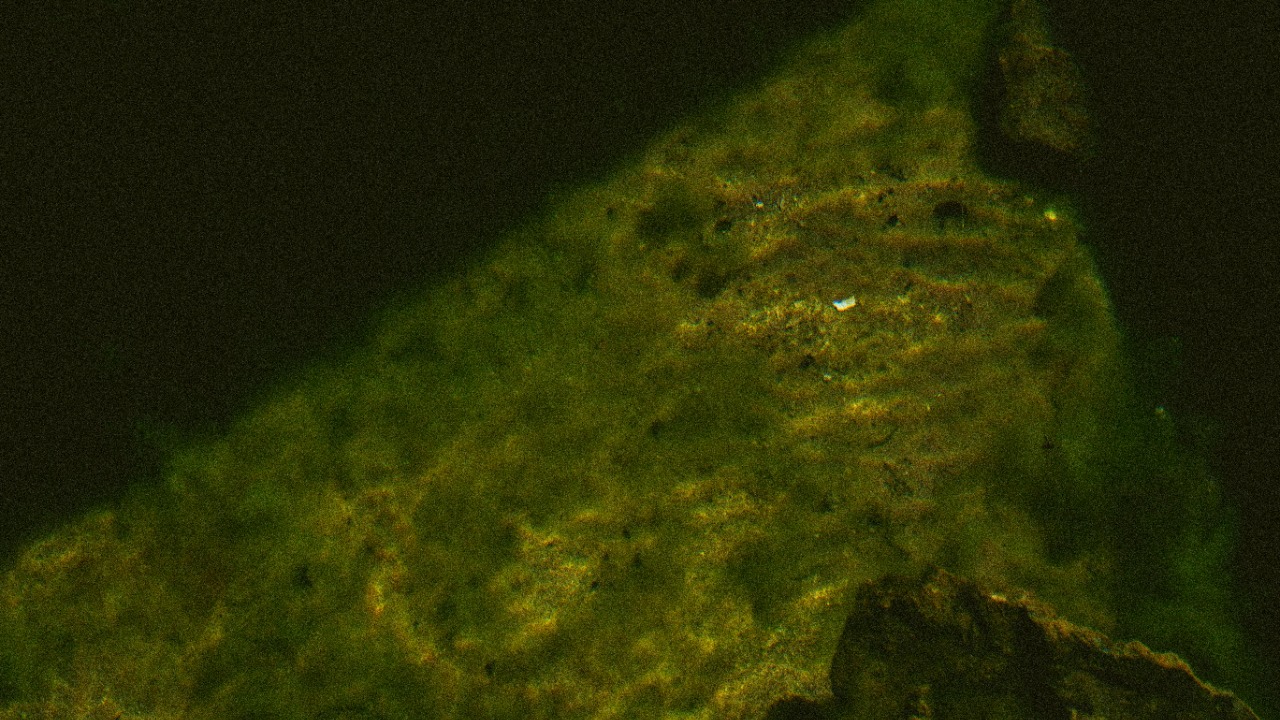 seenthroughmpk/Unsplash