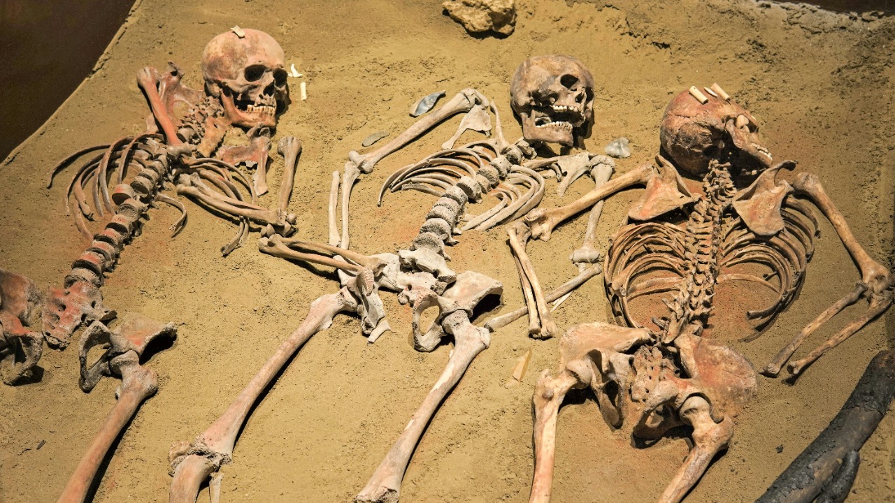 Ancient DNA is finally revealing who Europe’s first settlers were