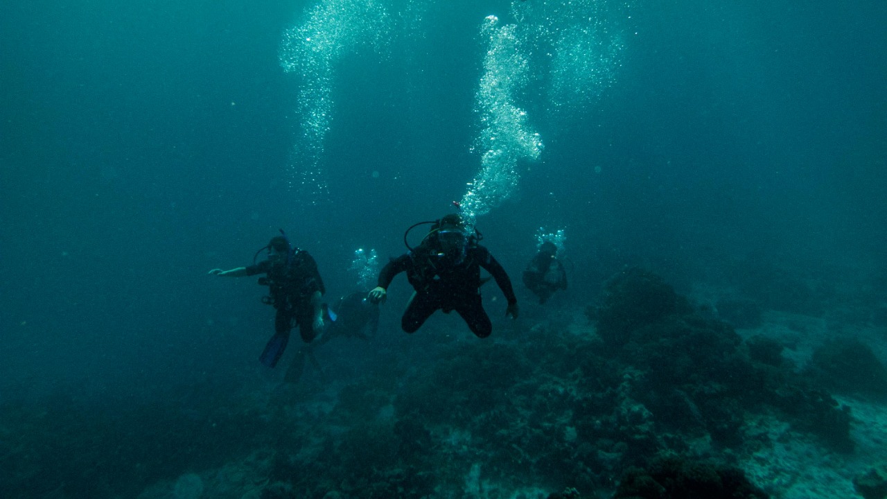 Carlos Jamaica/Pexels