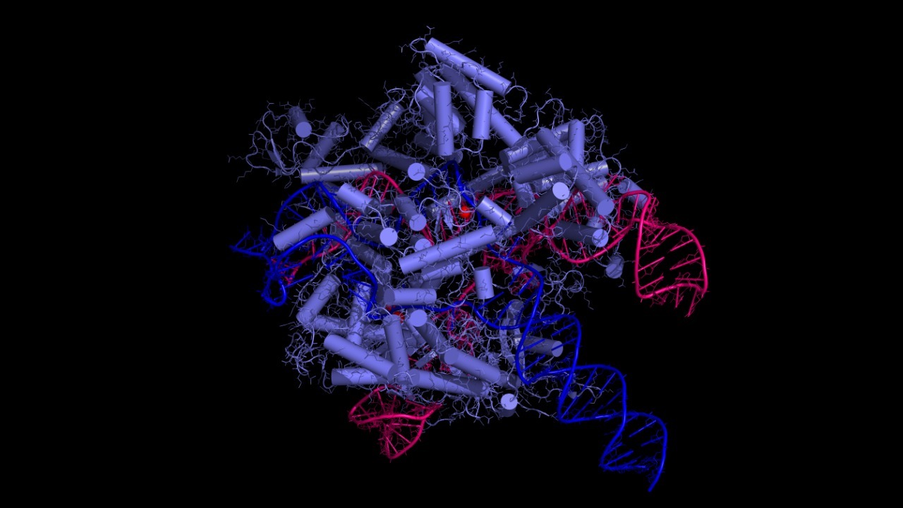 Image Credit: Elena I Leonova – CC BY 4.0/Wiki Commons