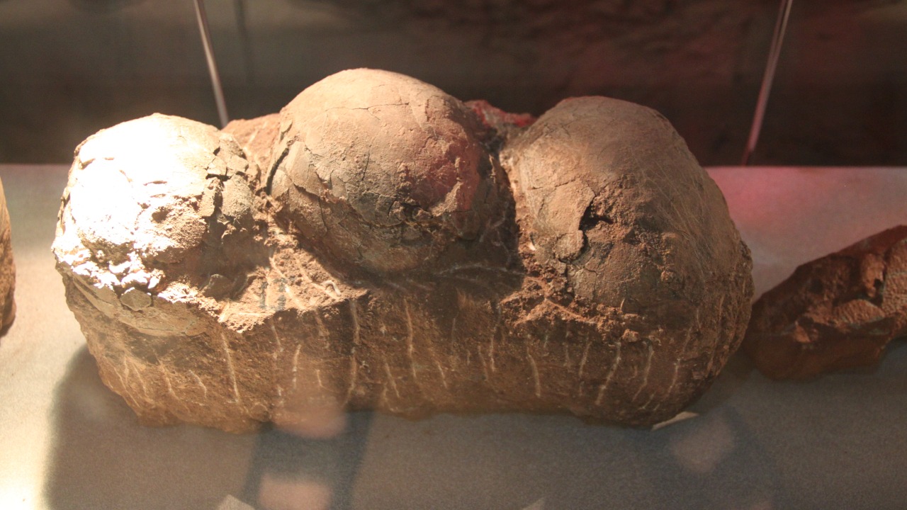 Crystal dinosaur eggs found in China reveal a shocking surprise inside