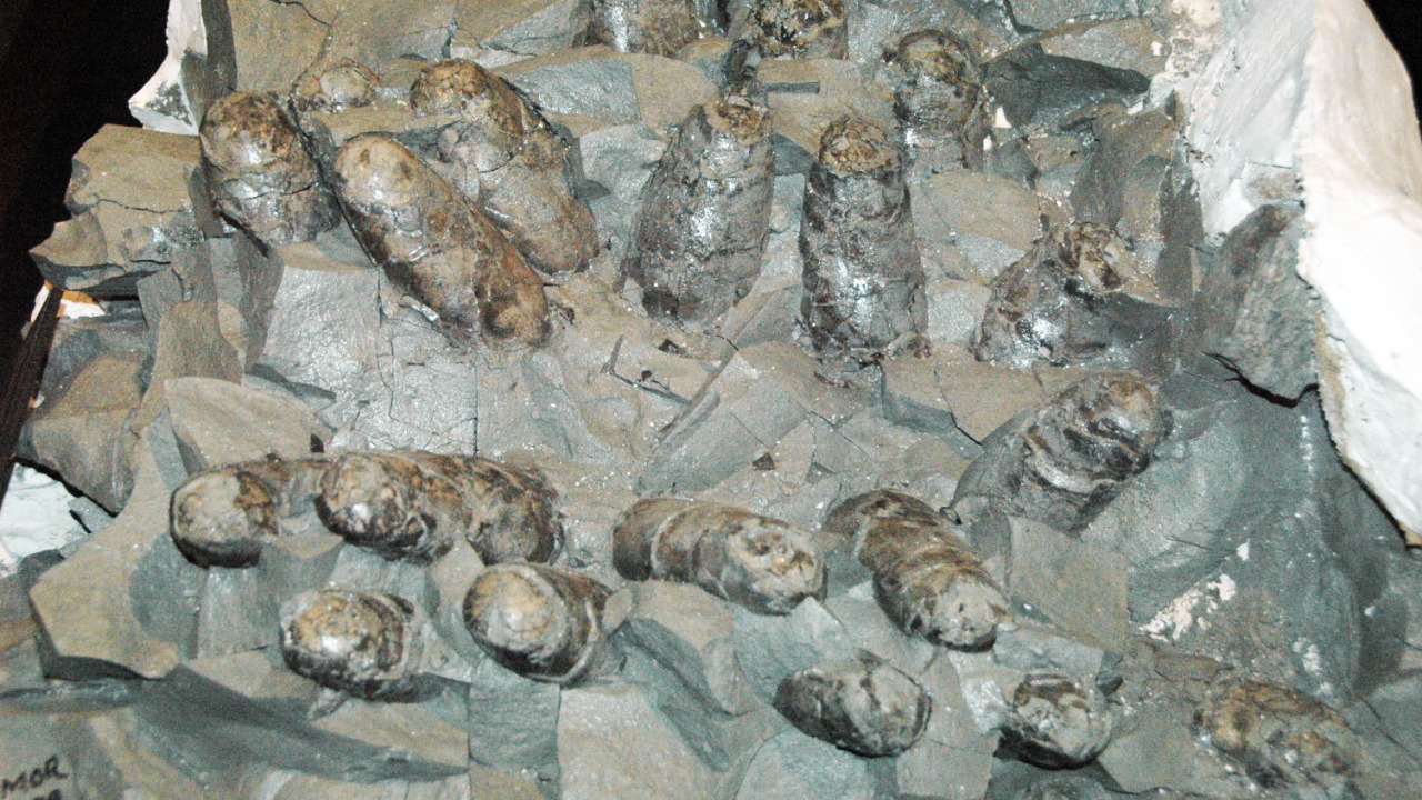 Image Credit: James St. John - CC BY 2.0/Wiki Commons