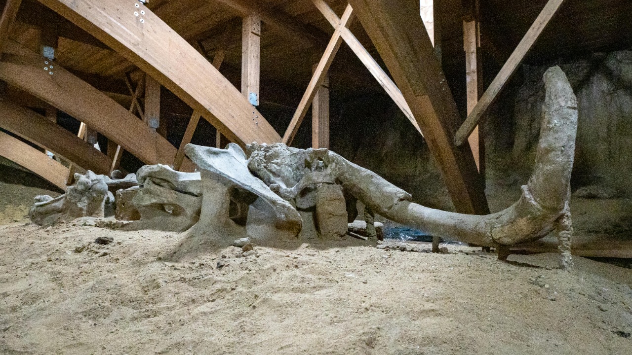 18,000 years ago, humans built mammoth bone homes in Ukraine