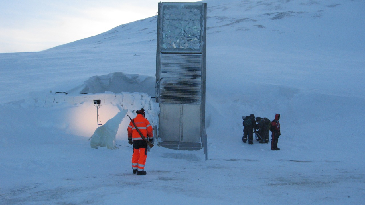 Image Credit: Dag Endresen - CC BY 3.0/Wiki Commons