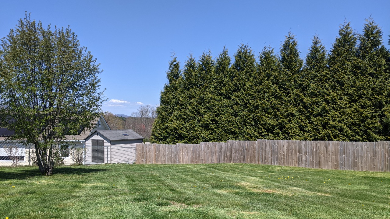 Image Credit: Chase Bohannon - CC0/Wiki Commons