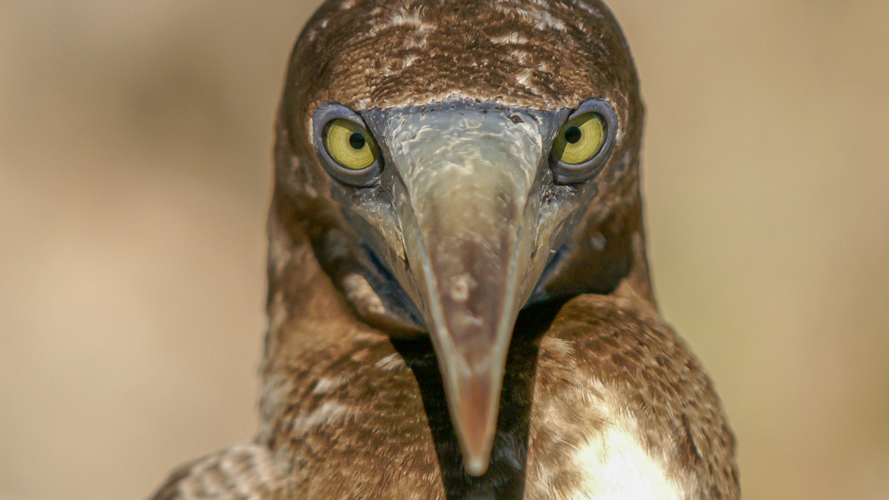 hansjurgen007/Unsplash